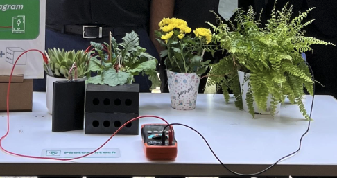 Harnessing Plant Energy